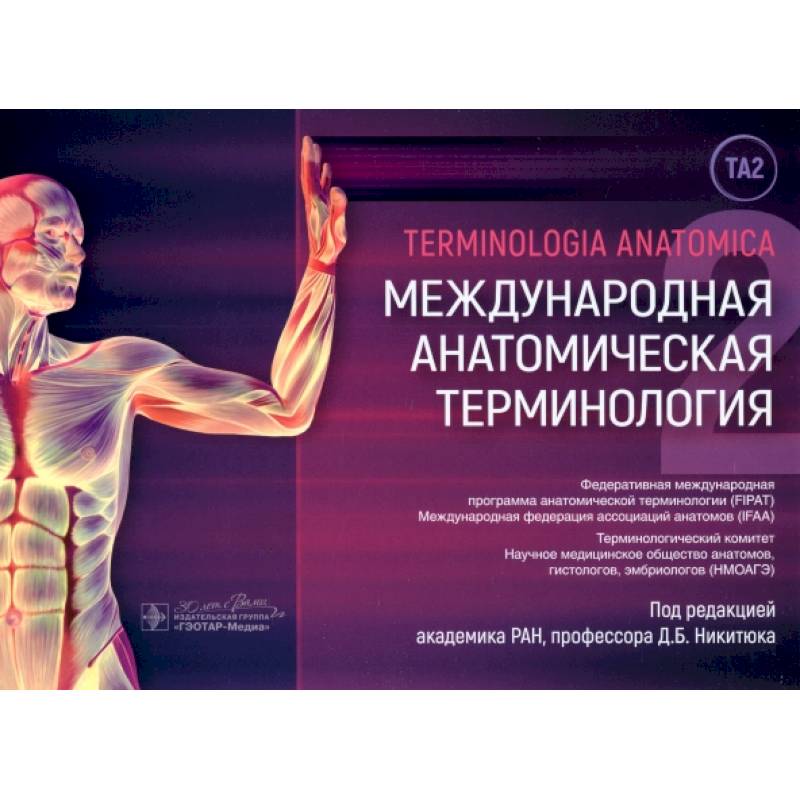 Международная анатомическая терминология