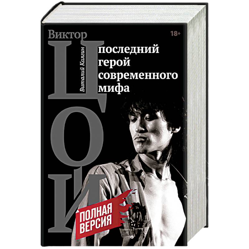 Виктор Цой. Последний герой современного мифа