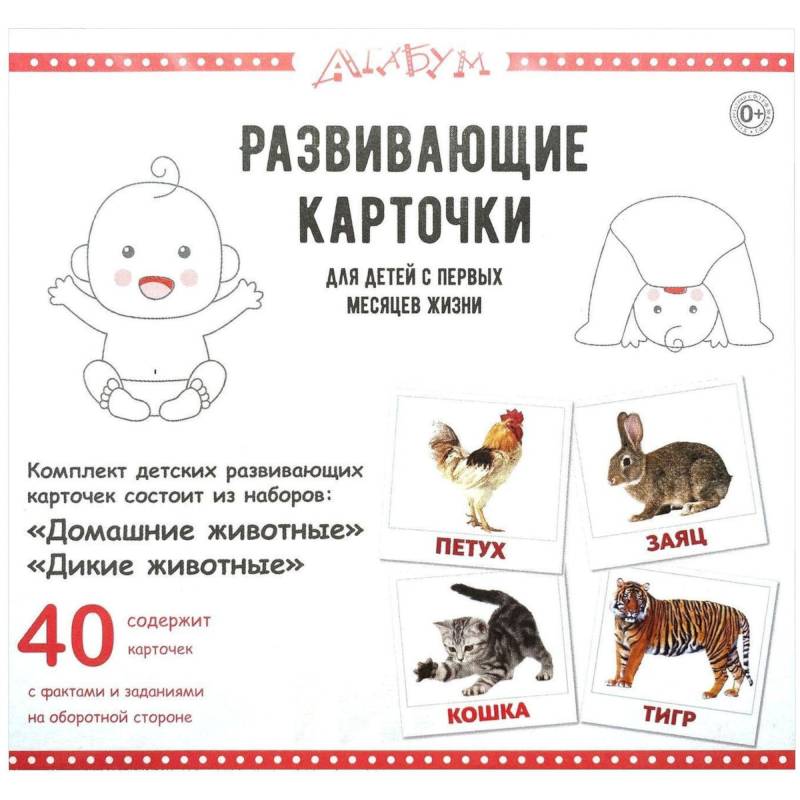 Домашние и дикие животные (40 карточек) Домашние и дикие животные (40 карточек)