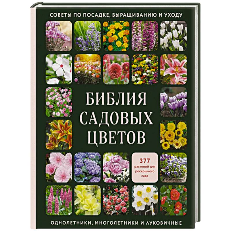 Библия садовых цветов. Однолетники, многолетники и луковичные. Советы по посадке, выращиванию и уходу