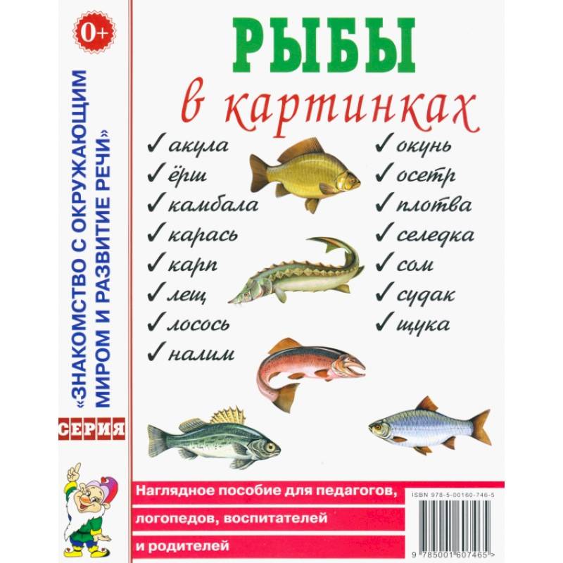 Рыбы в картинках. Наглядное пособие для педагогов, логопедов, воспитателей и родителей Рыбы в картинках. Наглядное пособие для педагогов, логопедов, воспитателей и родителей