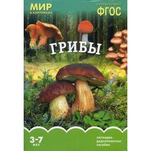 Грибы. Наглядно-дидактическое пособие