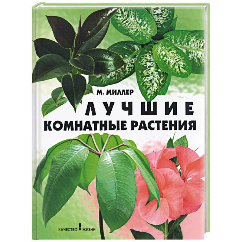 Лучшие комнатные растения