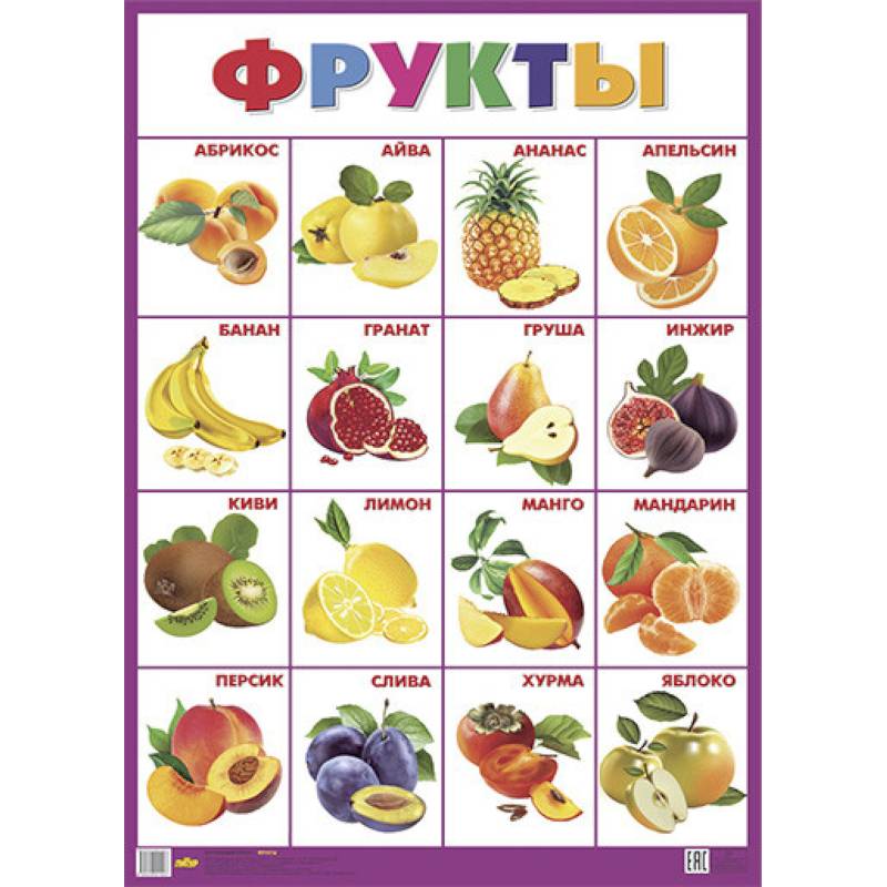 Фрукты. Плакат Фрукты. Плакат