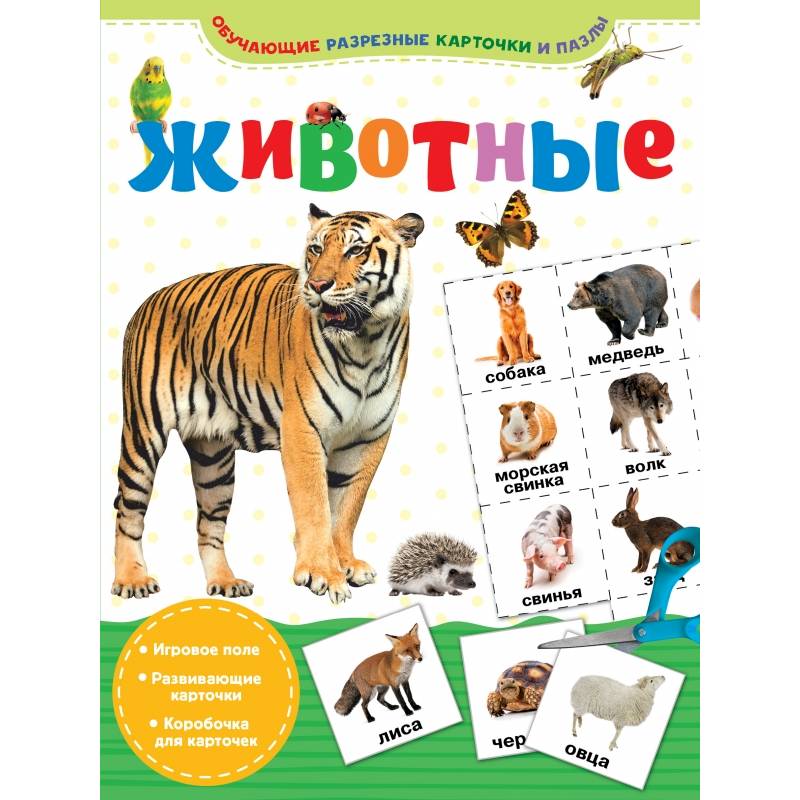 Животные Животные