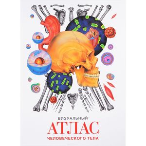 Визуальный атлас человеческого тела