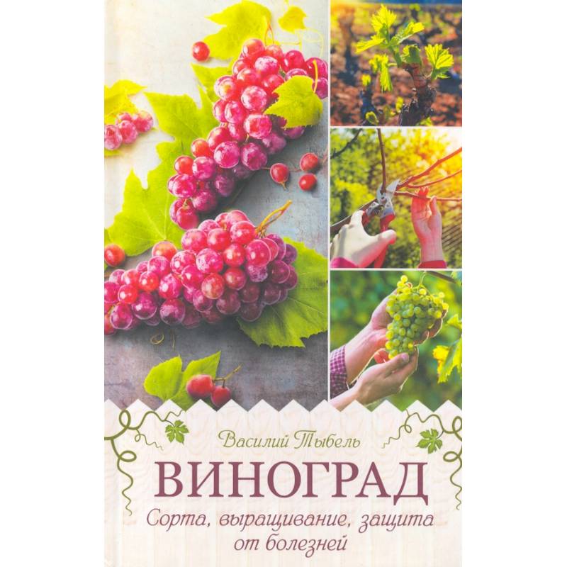 Виноград. Сорта, выращивание, защита от болезней