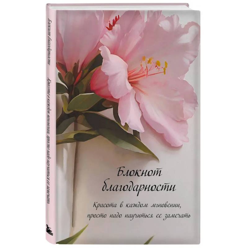 Блокнот благодарности. Красота в каждом мгновении, просто надо научиться ее замечать
