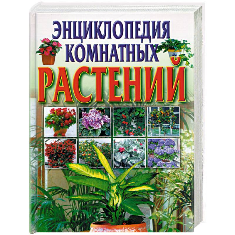 Энциклопедия комнатных растений