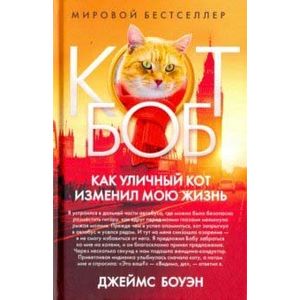 Как уличный кот изменил мою жизнь