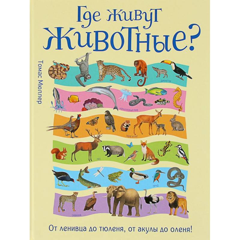 Где живут животные? От ленивца до тюленя, от акулы до оленя!