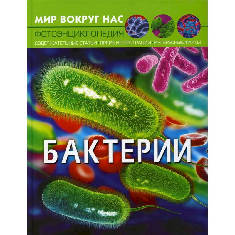 Мир вокруг нас. Бактерии