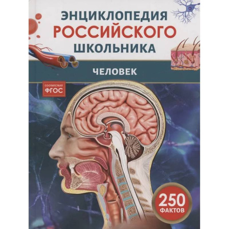 Человек. Земля. Вселенная, книга Человек купить по скидке