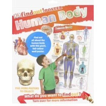 DKfindout! Human Body Poste