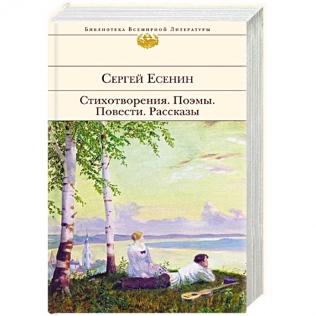 Русская поэзия, книга Стихотворения. Поэмы купить по скидке