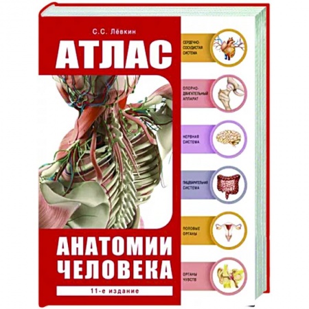 Популярная и нетрадиционная медицина, книга Атлас анатомии человека купить по скидке