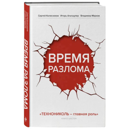 Управление проектами, книга Время разлома. ТЕХНОНИКОЛЬ — главная роль купить по скидке