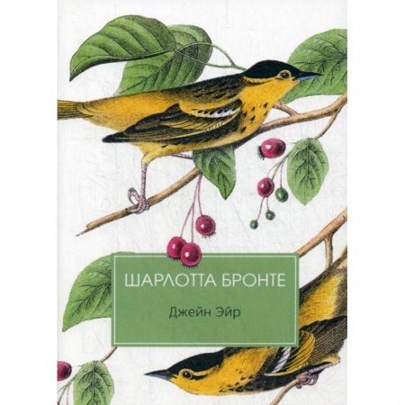 Зарубежная современная проза, книга Джейн Эйр купить по скидке