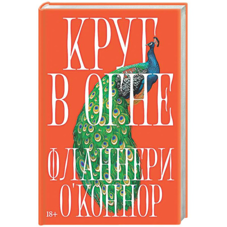 Зарубежная современная проза, книга Круг в огне купить по скидке