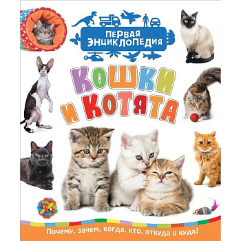 Кошки и котята. Первая энциклопедия