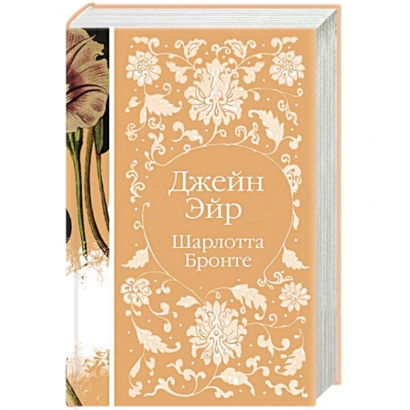 Зарубежная классика, книга Джейн Эйр купить по скидке