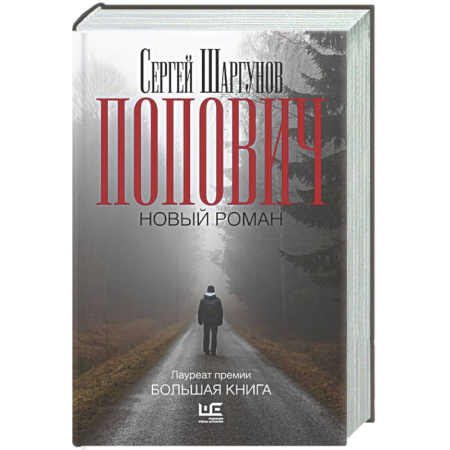 Русская современная проза, книга Попович купить по скидке