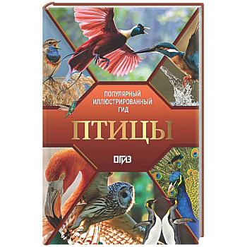 Птицы. Иллюстрированный гид