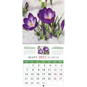 Календарь на 2022 год 'Календарь природы' (30210)