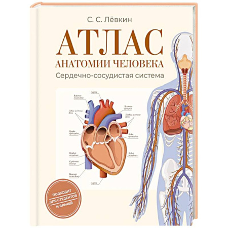 Анатомия и физиология человека, книга Атлас анатомии человека. Сердечно-сосудистая система купить по скидке