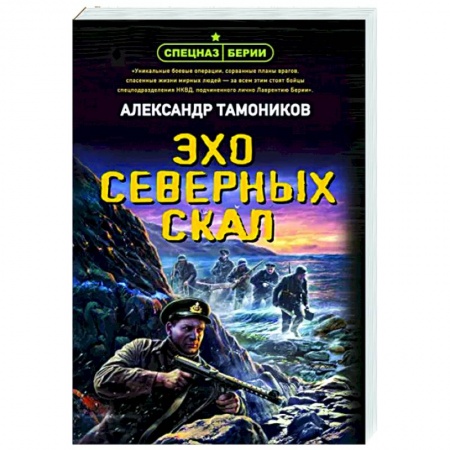 Боевики, военные, книга Эхо северных скал купить по скидке
