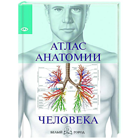 Анатомия и физиология человека, книга Атлас анатомии человека купить по скидке