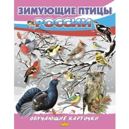Животный и растительный мир, книга Зимующие птицы России купить по скидке