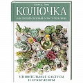 Кактусы. Суккуленты Кактусы. Суккуленты