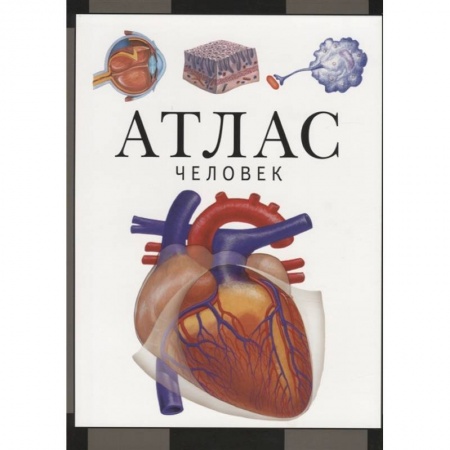 Биологические науки, книга Атлас.Человек купить по скидке