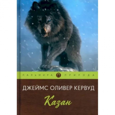 Зарубежная классика, книга Казан купить по скидке