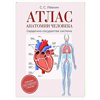 Атлас анатомии человека. Сердечно-сосудистая система