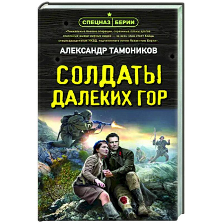 Боевики, военные, книга Солдаты далеких гор купить по скидке