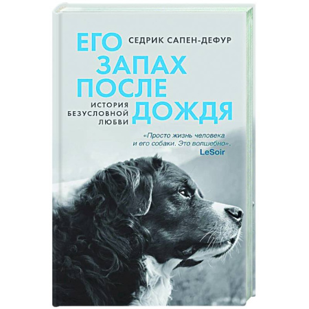 Зарубежная современная проза, книга Его запах после дождя купить по скидке