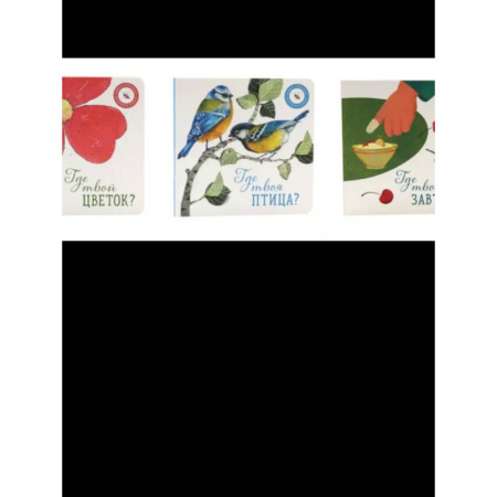 Все обо всем. Универсальные энциклопедии, книга Где твой цветок?. Где твоя птица?. Где твой завтрак? купить по скидке