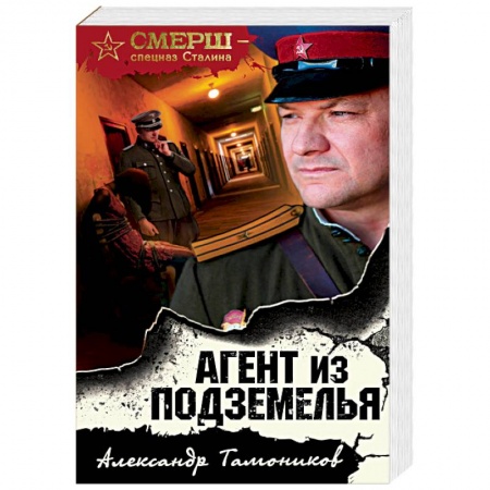 Отечественный мужской детектив, книга Агент из подземелья купить по скидке