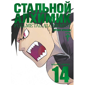 Стальной Алхимик. Книга 14