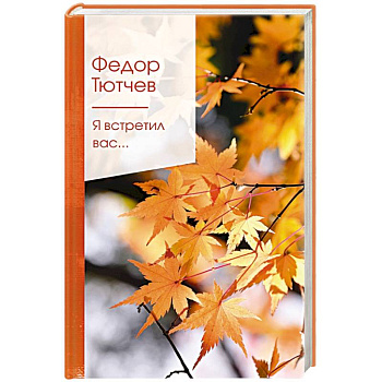 Я встретил вас...