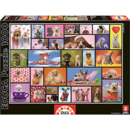 15518 Пазл-1000 Приятные моменты