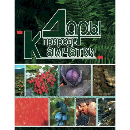 Общие вопросы по кулинарии, книга Дары природы Камчатки купить по скидке