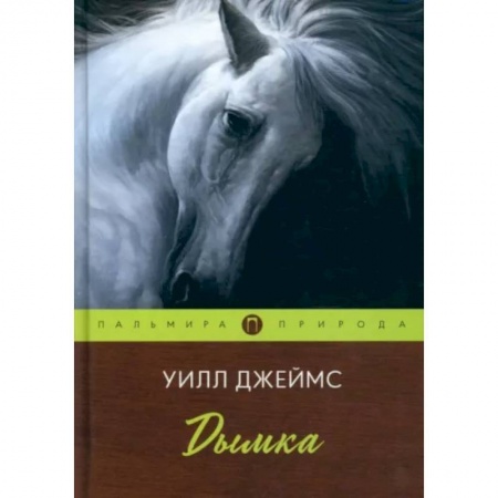 Зарубежная классика, книга Дымка купить по скидке