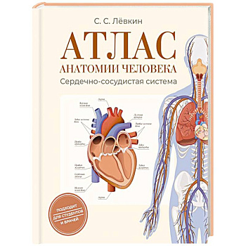 Атлас анатомии человека. Сердечно-сосудистая система