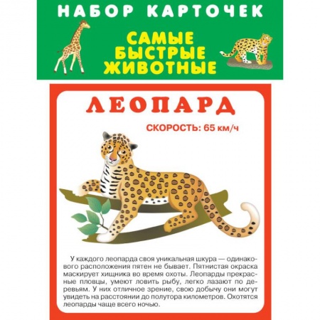 Другое, книга Набор карточек. Самые быстрые животные купить по скидке