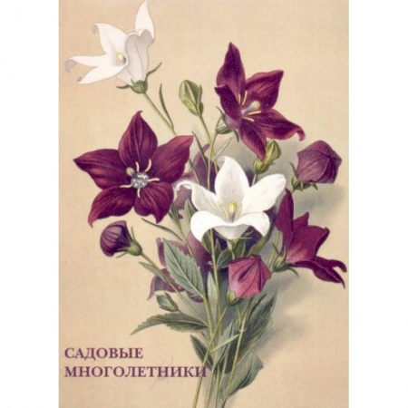 Культура, искусство, книга Садовые многолетники купить по скидке