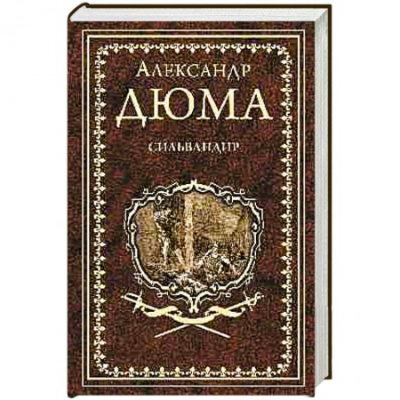 Зарубежная классика, книга Сильвандир. Сальтеадор купить по скидке