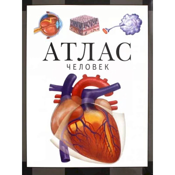 Человек. Атлас